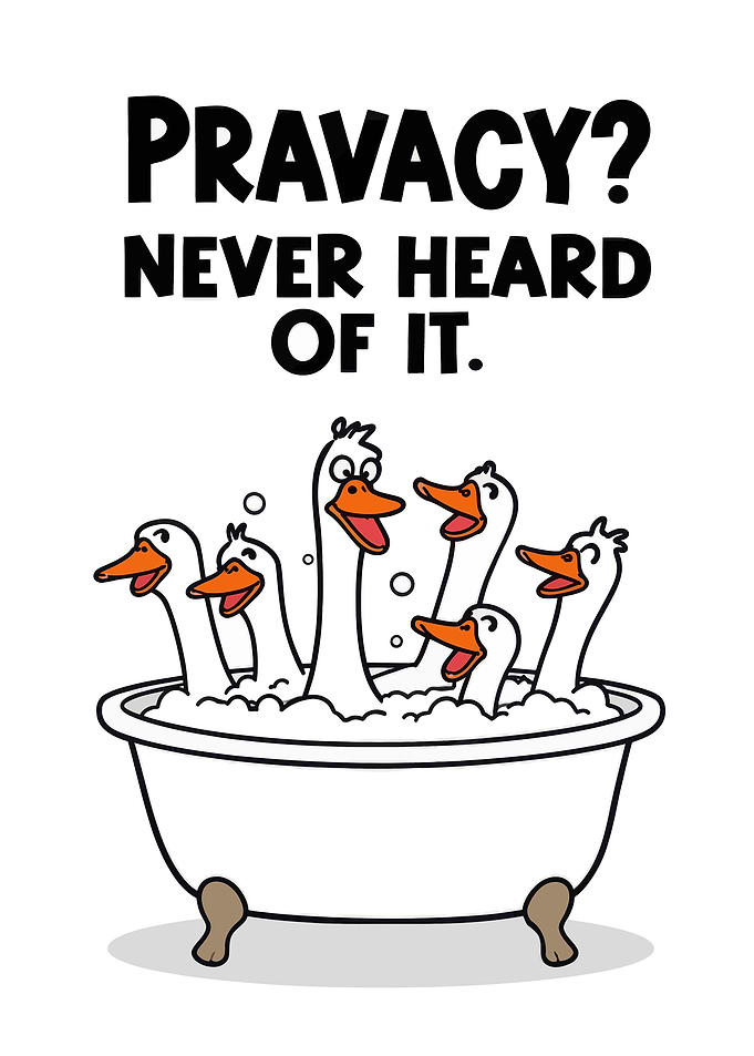 Funny Geese in Bathtub Illustration