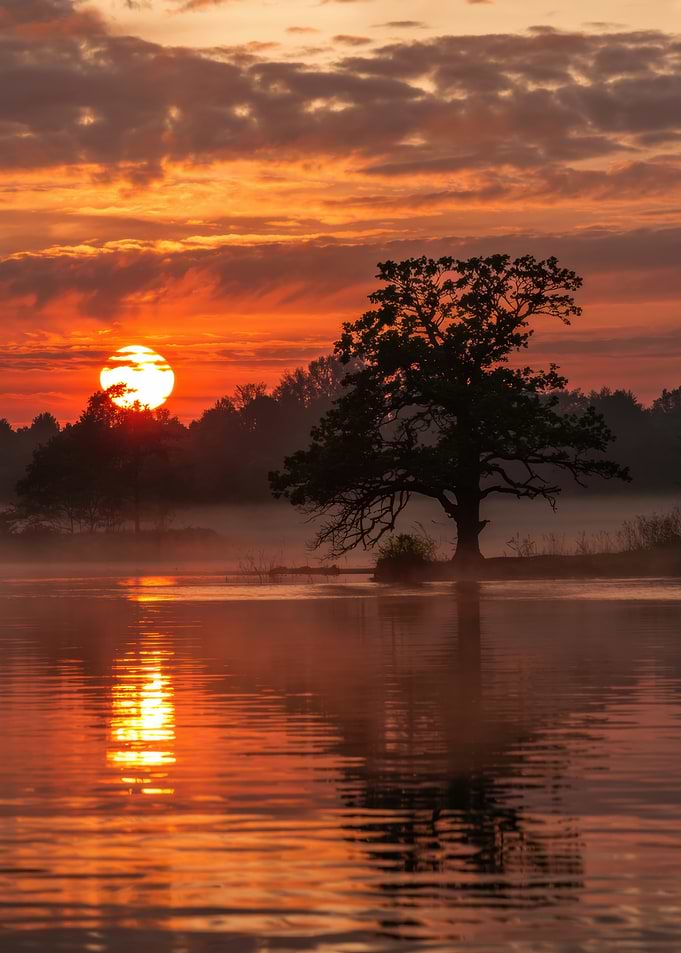 Golden Sunrise Over Misty Lake