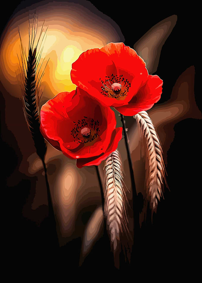 Vibrant Red Poppies and Wheat