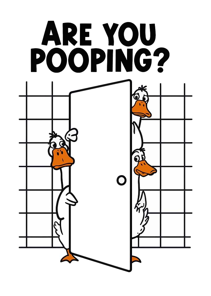 Funny Ducks Peeking Through Door