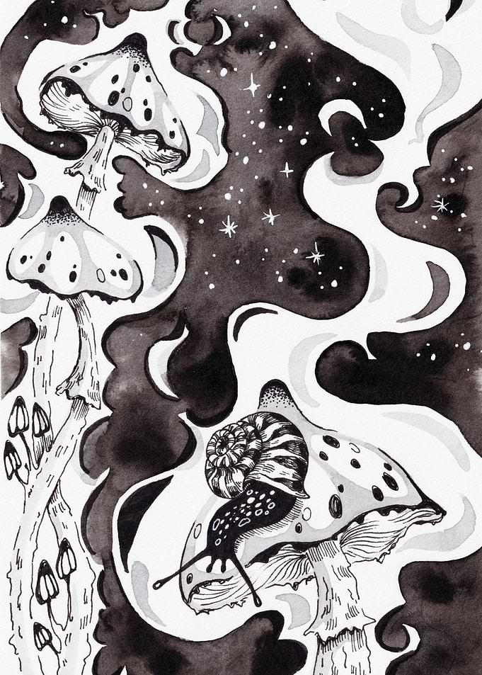 Fairytale Snail and Mushroom Ink Illustration