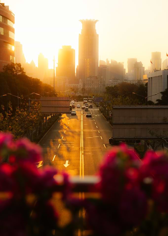 Golden Hour City Street View