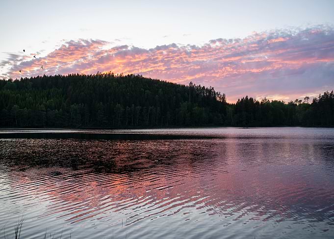 Serene Sunset Over Forest Lake