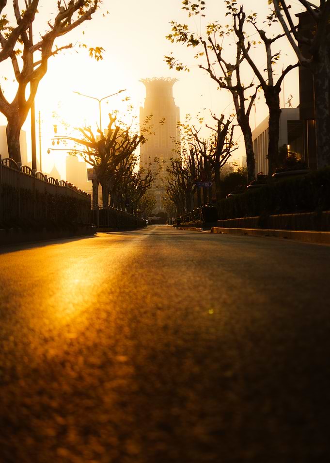 Golden Hour City Street View