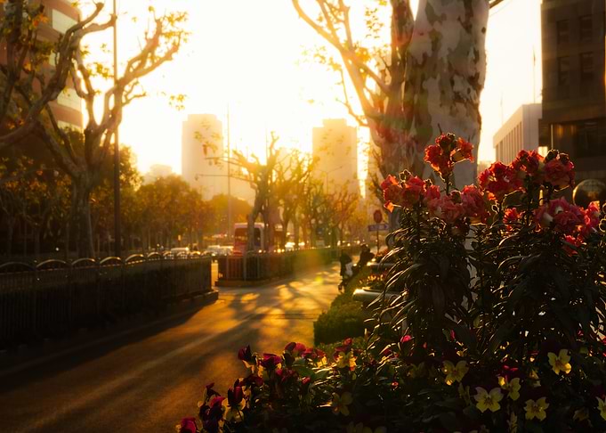 Golden Hour City Street Scene