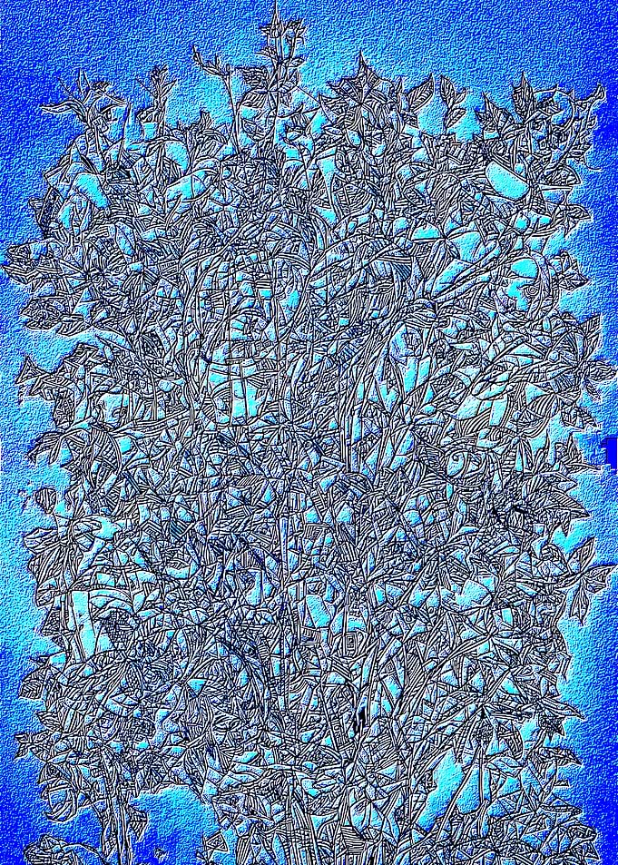 Abstract Blue Botanical Line Art