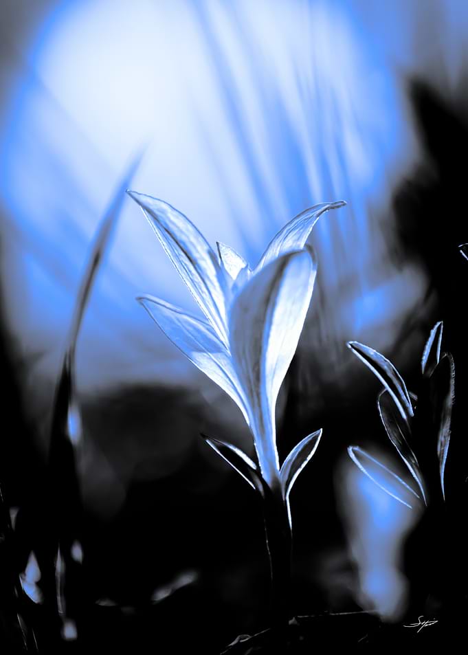 Ethereal Blue