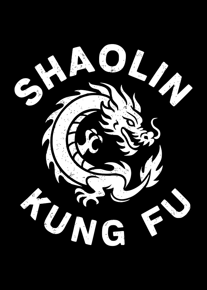 Shaolin Kung Fu Dragon Graphic