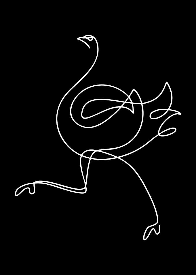 Minimalist Ostrich Line Art