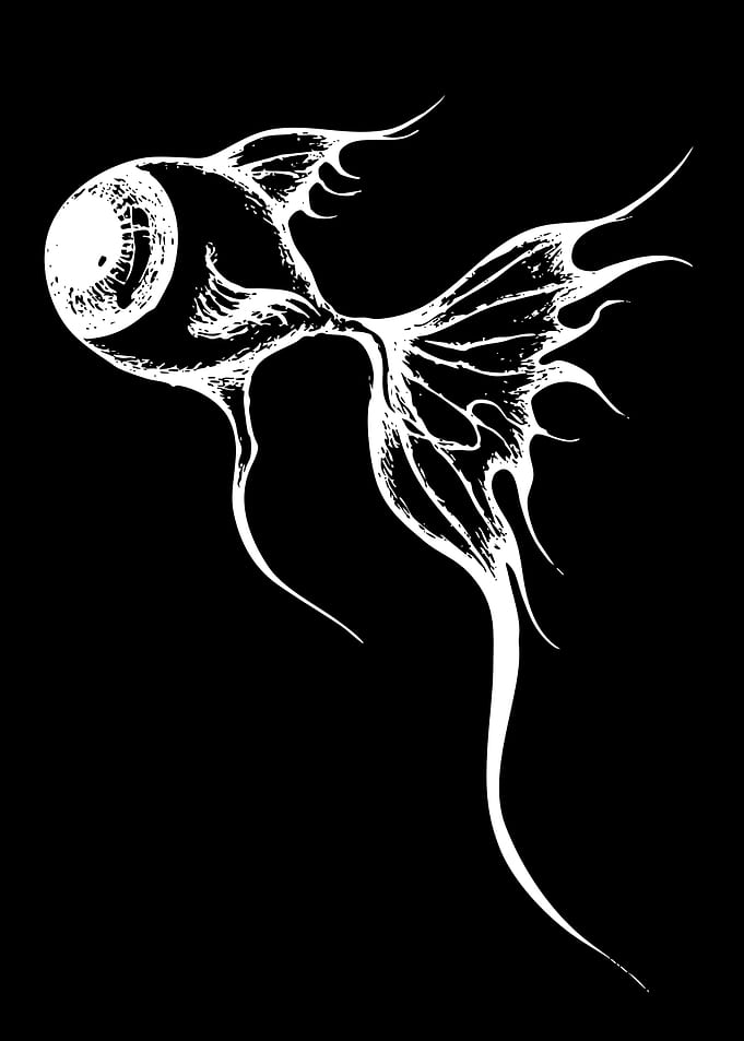 Surreal Eyeball Fish Illustration