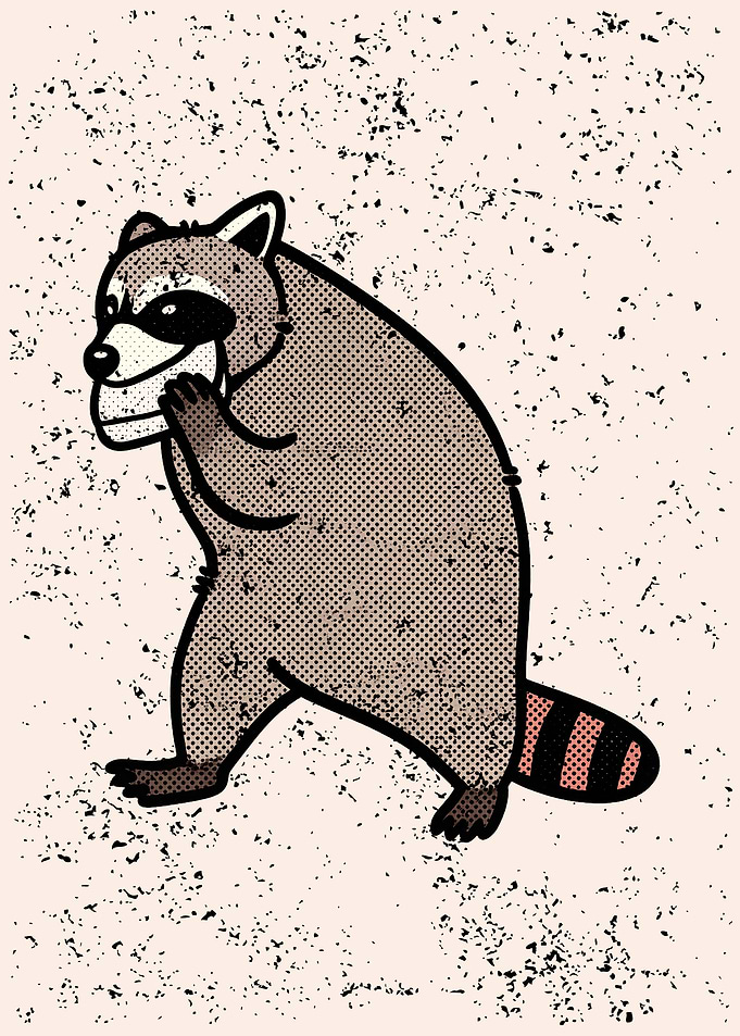 Vintage Style Raccoon Illustration