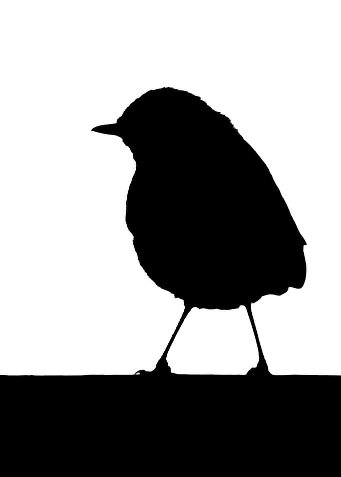 Minimalist Bird Silhouette - Robin