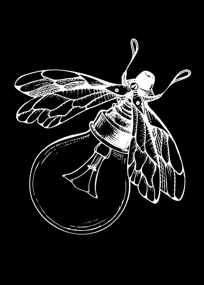 Moth Lightbulb Illustration