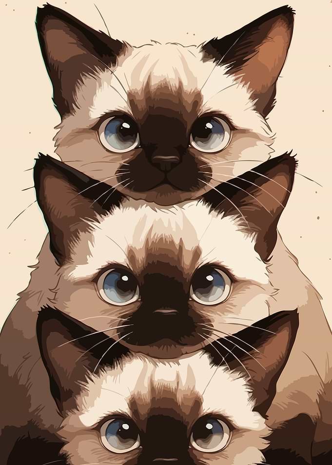 Three Stacked Siamese Kittens