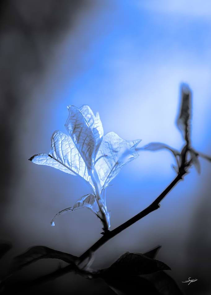 Glowing Blue