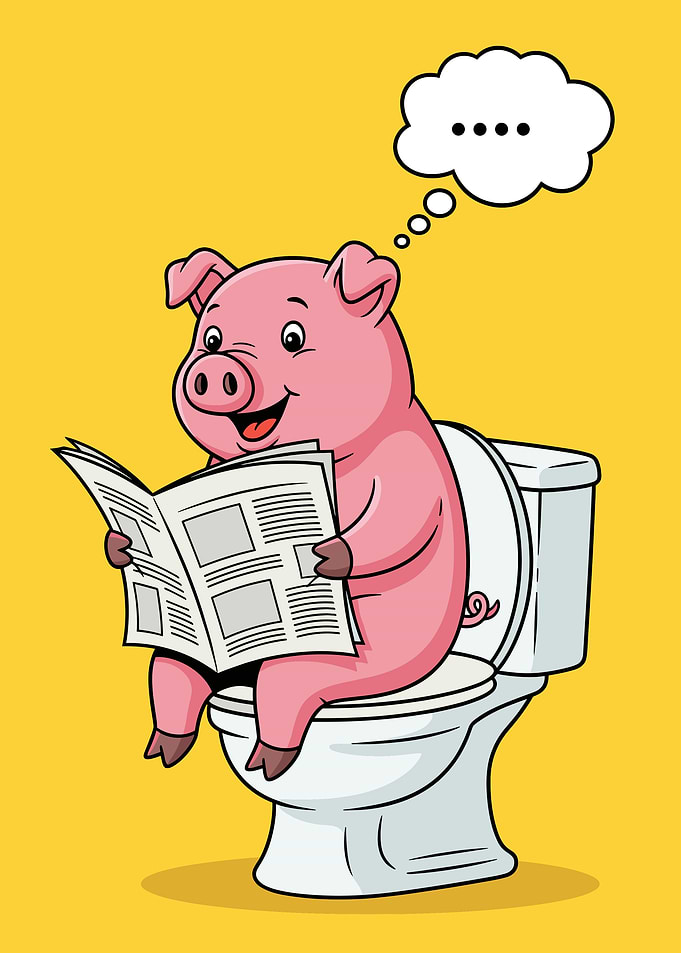 Cartoon Pig Reading on Toilet
