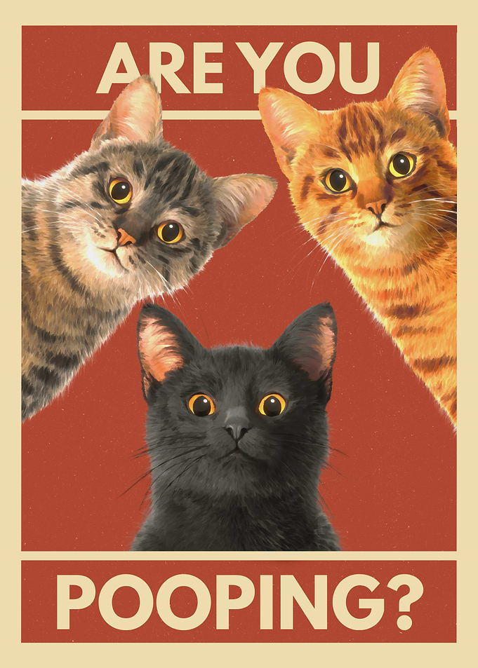 Funny Cats Are You Pooping Poster