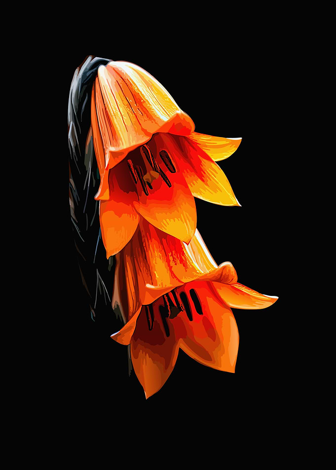 Vibrant Orange Bell-Shaped Flowers