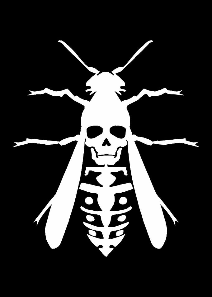 Minimalist Skull Wasp Graphic