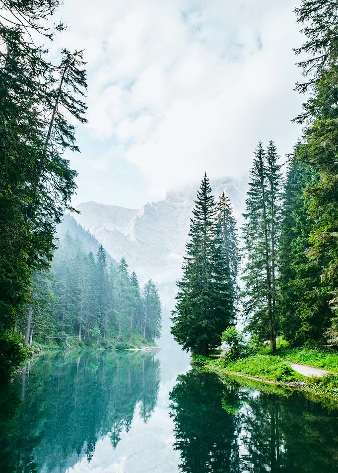 Serene Alpine Lake and Forest