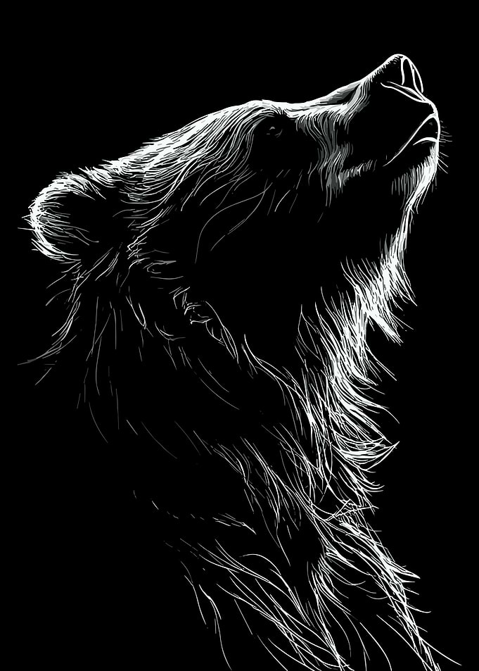 Majestic Bear Line Art Poster Black and White Wildlife Wall Art