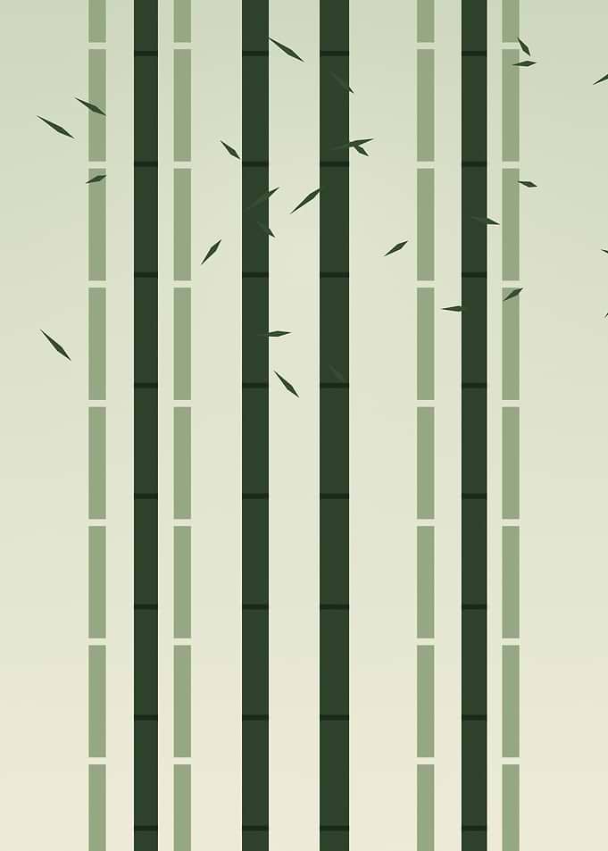 Bamboo Forest - Minimalist Japanese Zen Grove