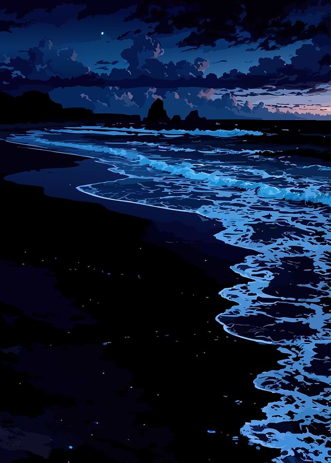 Bioluminescent Waves on Dark Beach