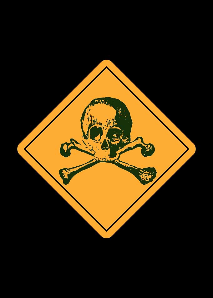 Crossbones Skull