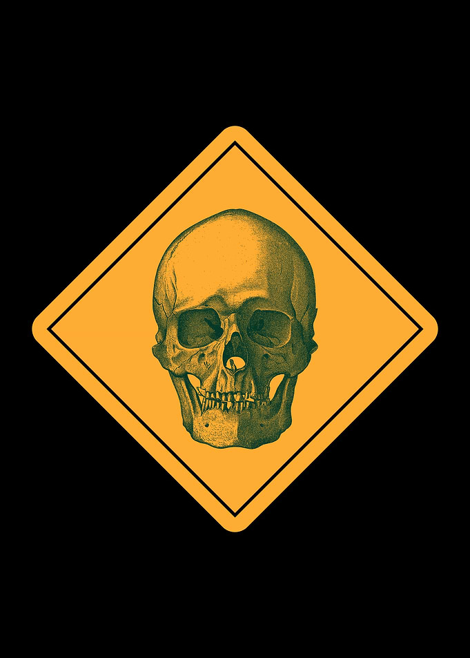 Anatomical Skull