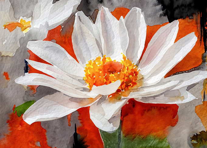 Daisy on Red Watercolor Background