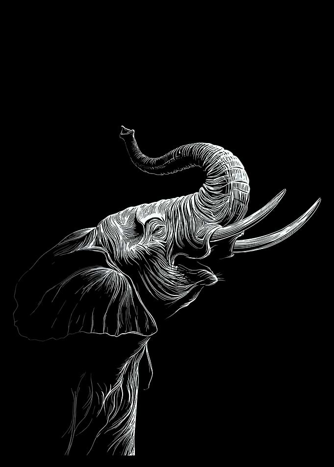Elegant Elephant Line Art Wall Art Black and White Wildlife Poster Modern Animal Decor