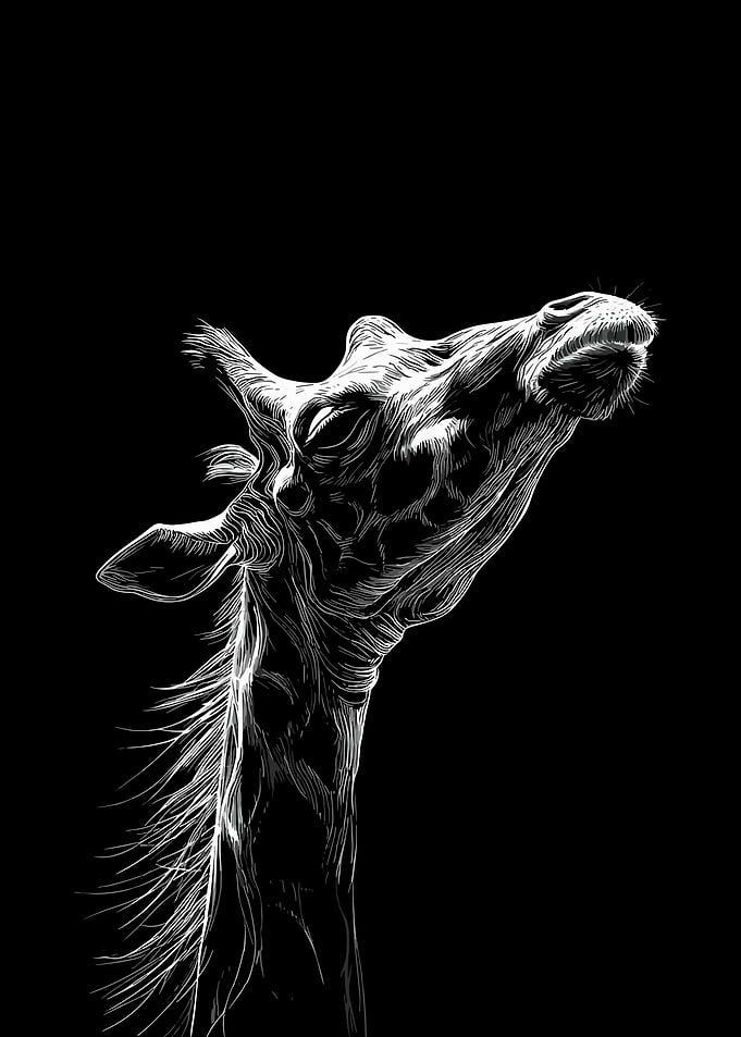 Minimalist Giraffe Line Art Poster Black and White Wildlife Wall Art