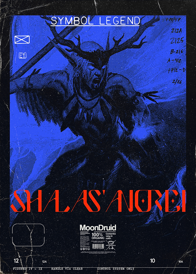 MoonDruid Shalas'Andrei Fantasy Poster