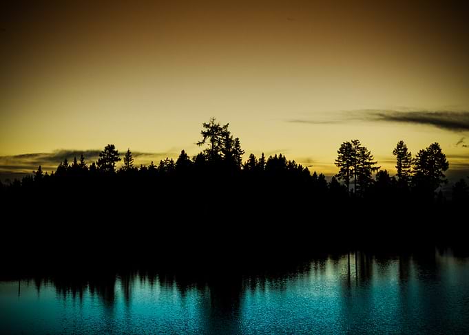 Silhouette Forest at Sunset Over Water