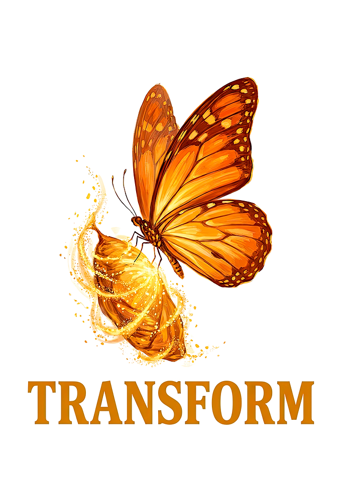 Monarch Butterfly Metamorphosis Transform Art