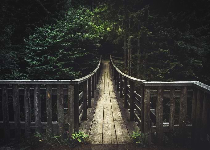 Wooden Bridge Into Dark Forest