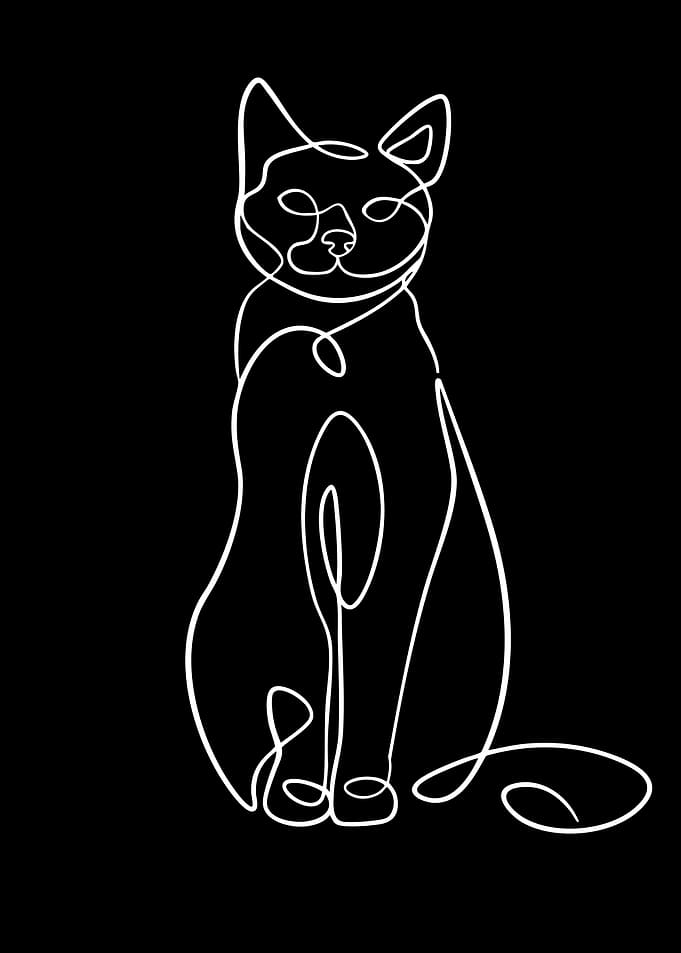 Minimalist Single Line Cat Drawing