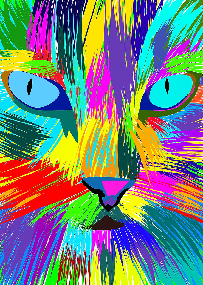 Abstract Colorful Cat Face Portrait