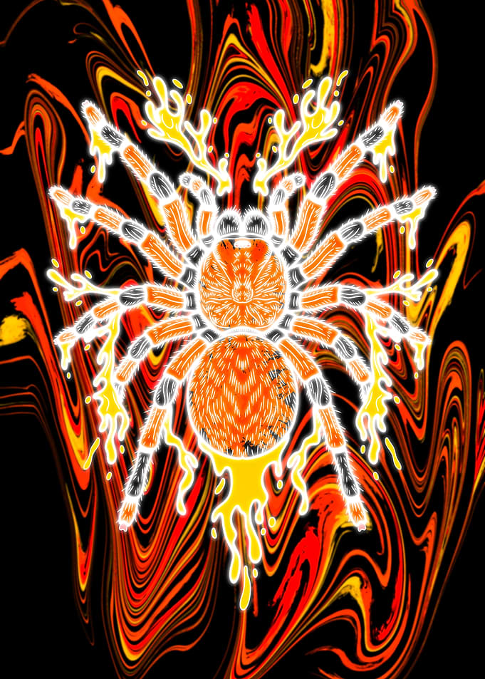 Liquid Neon Tarantula