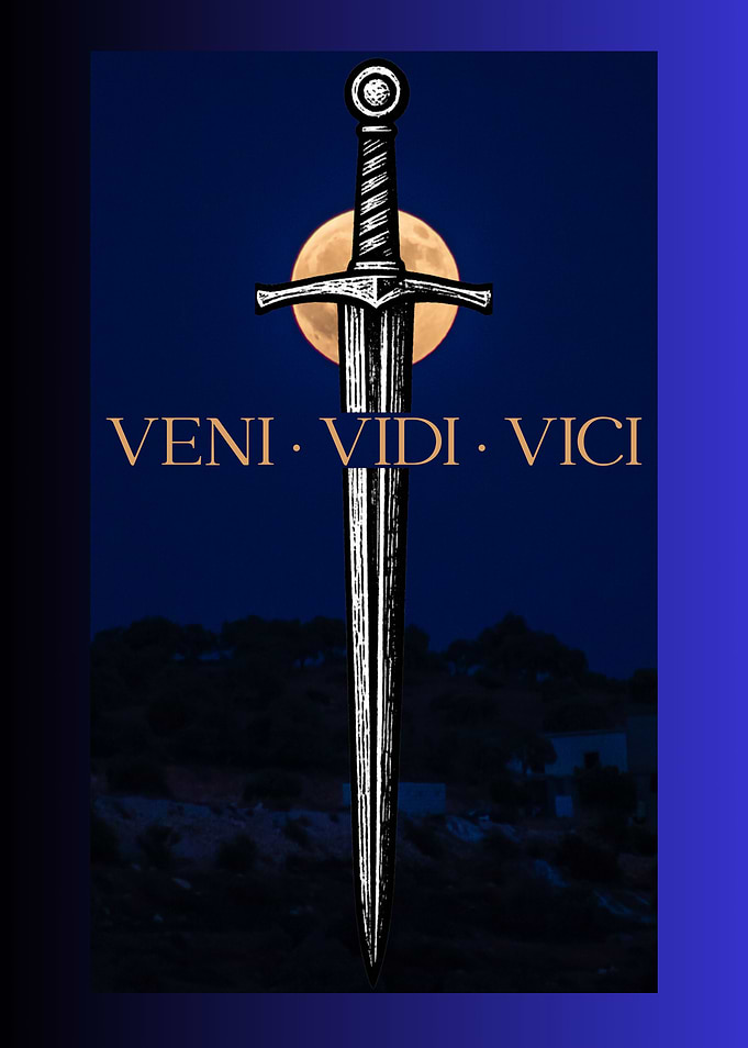 Veni Vidi Vici Sword Poster