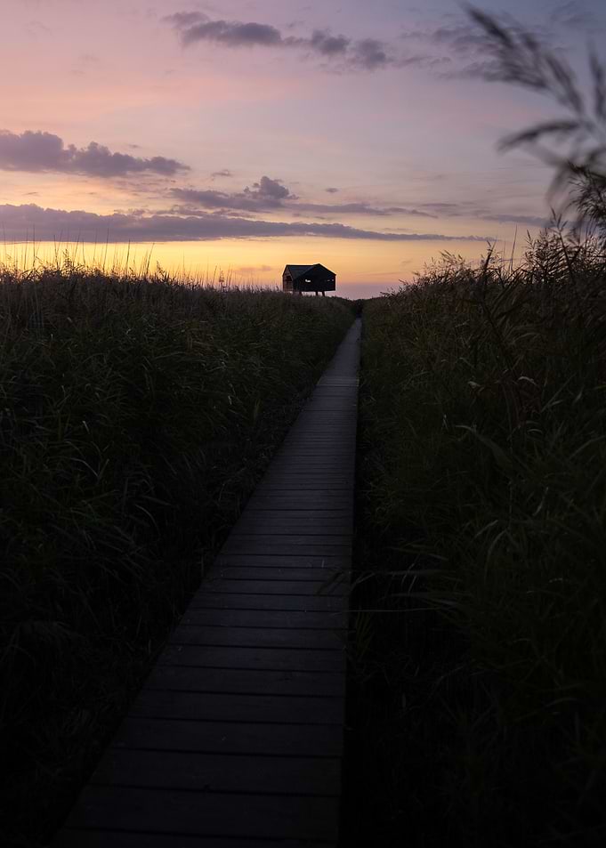 Kiekkaaste in Warm Evening Light
