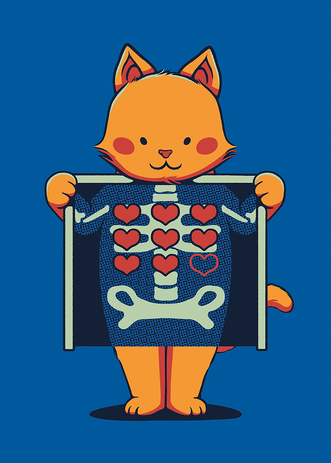 Cat X-Ray 9 Lives