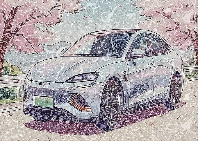 Seal Car Under Cherry Blossoms