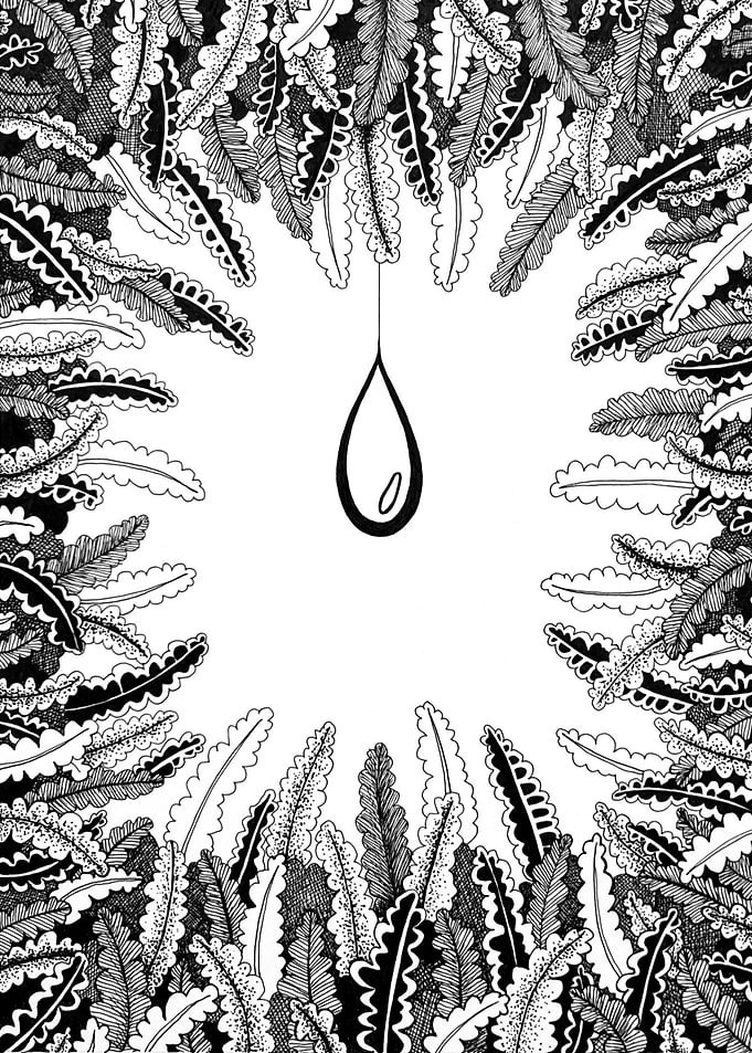 The drop of water