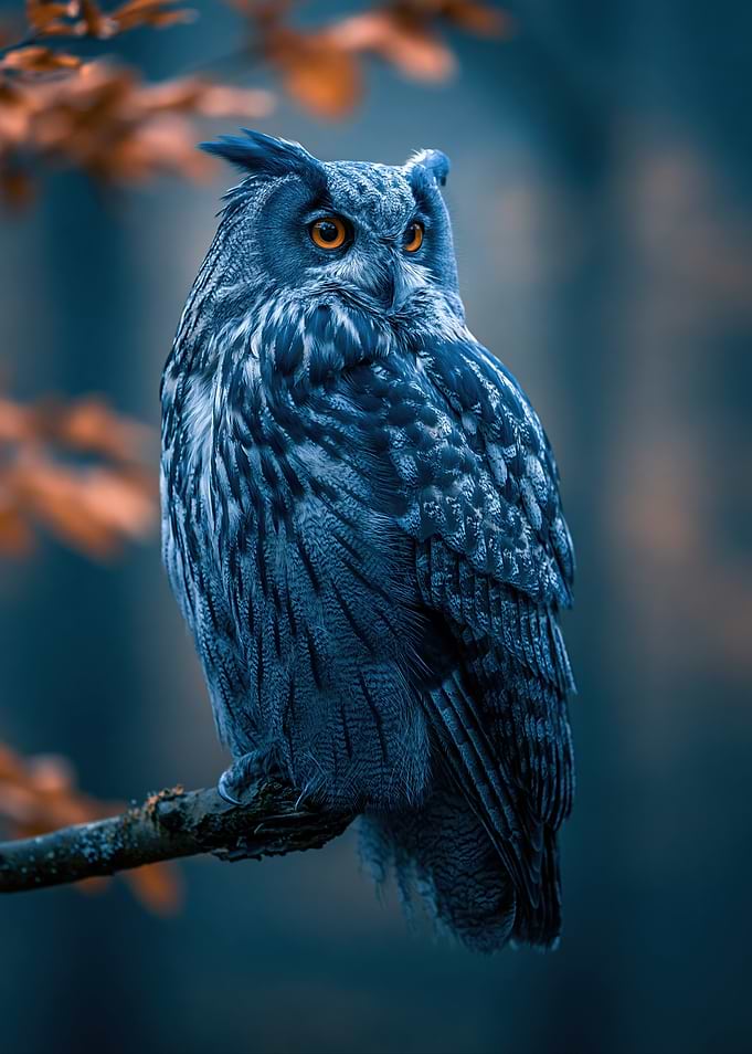 Majestic Great Horned Owl Portrait