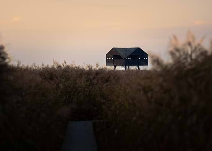 Kiekkaaste in Gentle Sunset