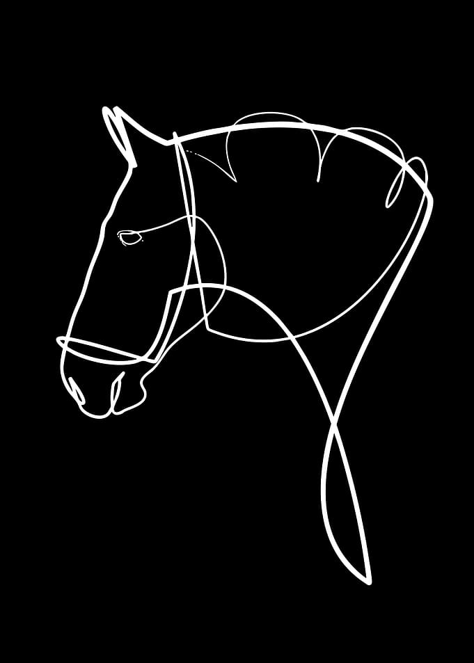 Minimalist Single Line Horse Portrait