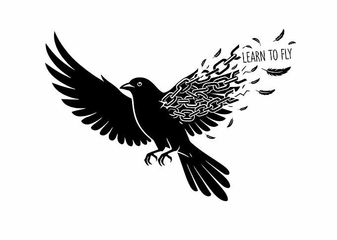 Learn To Fly