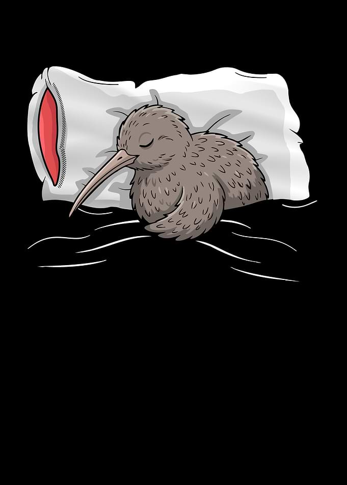 Sleeping Kiwi Bird Illustration