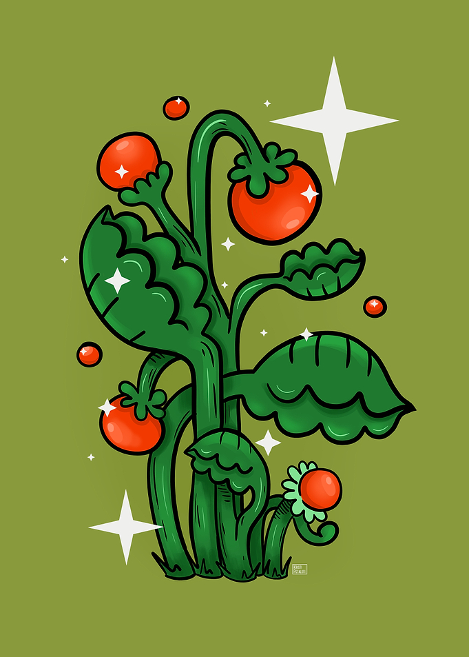 Whimsical Tomato Plant Illustration